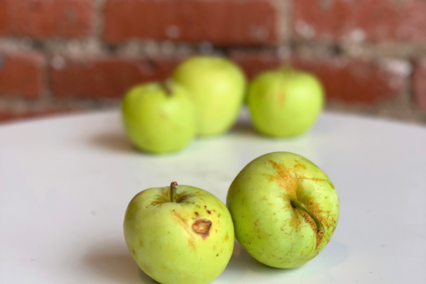 Green apples with visible imperfections
