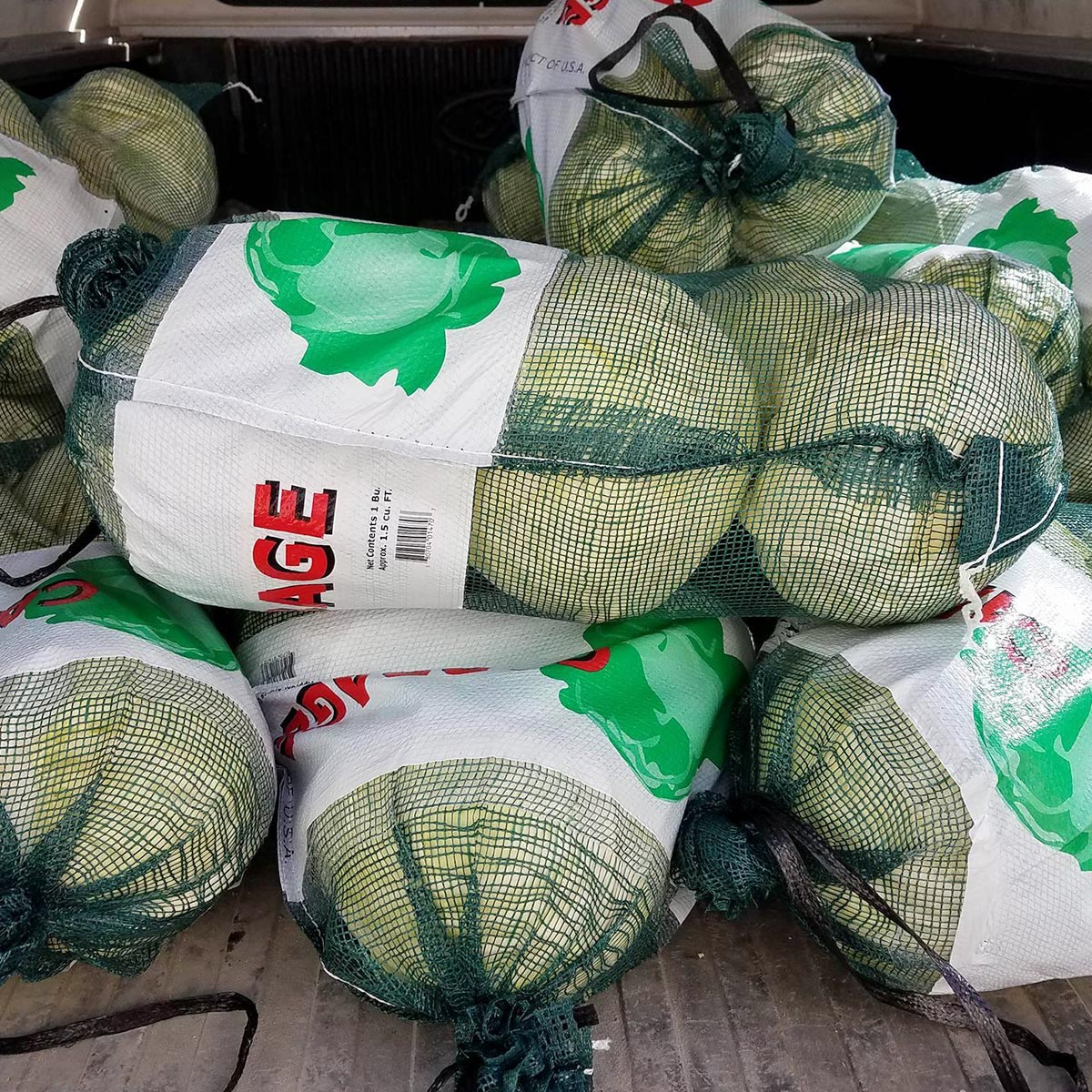 Bags of rescued cabbages