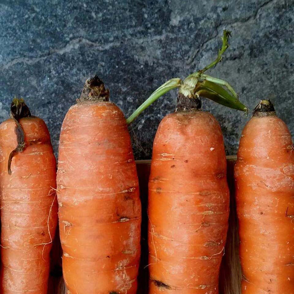 Carrots with visible imperfections