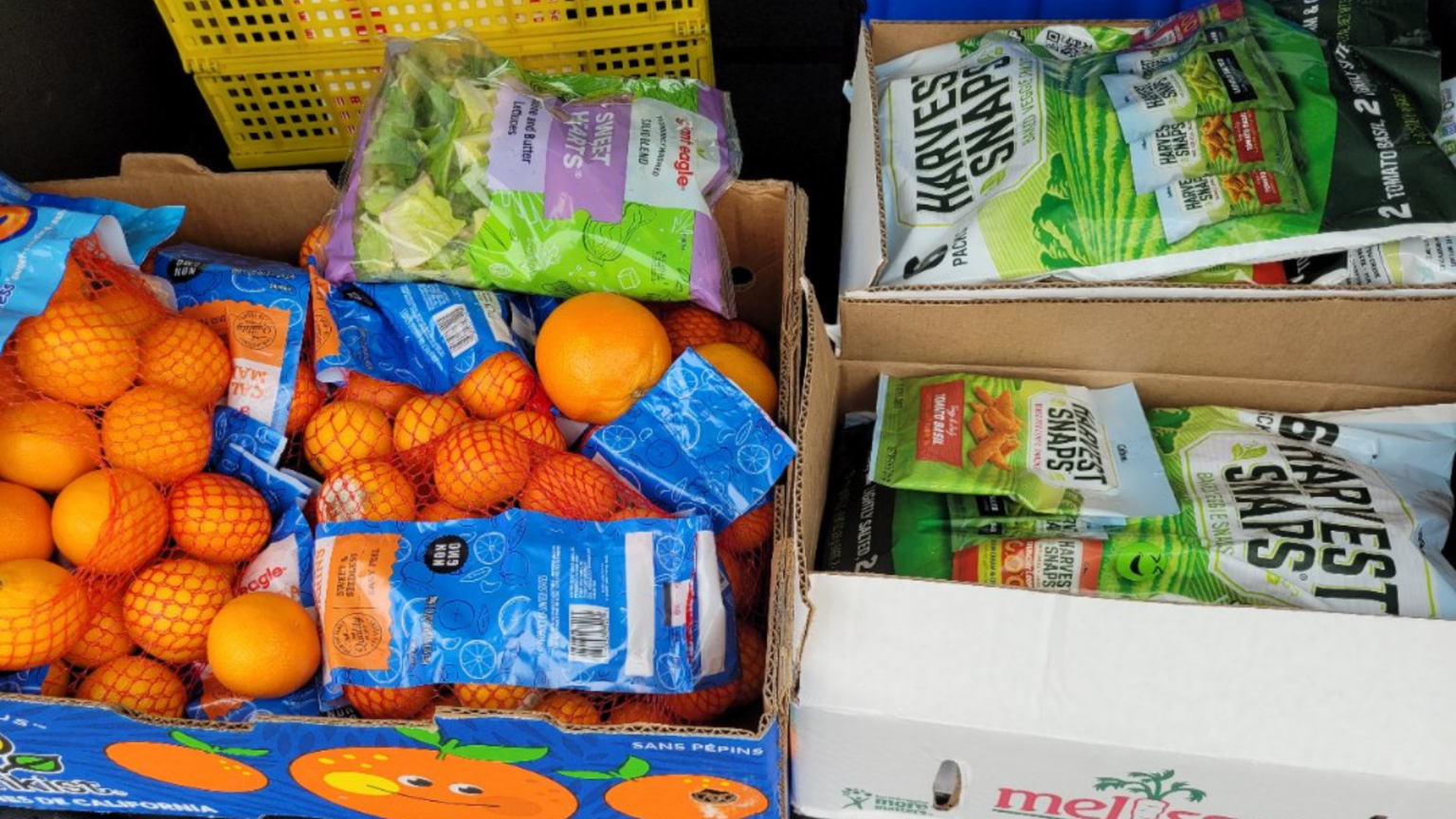 Beyond the Canned Food Drive – How Do We Fight Hunger More Effectively ...